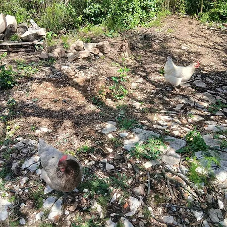 Hébergement de vacances Face A La Garrigue